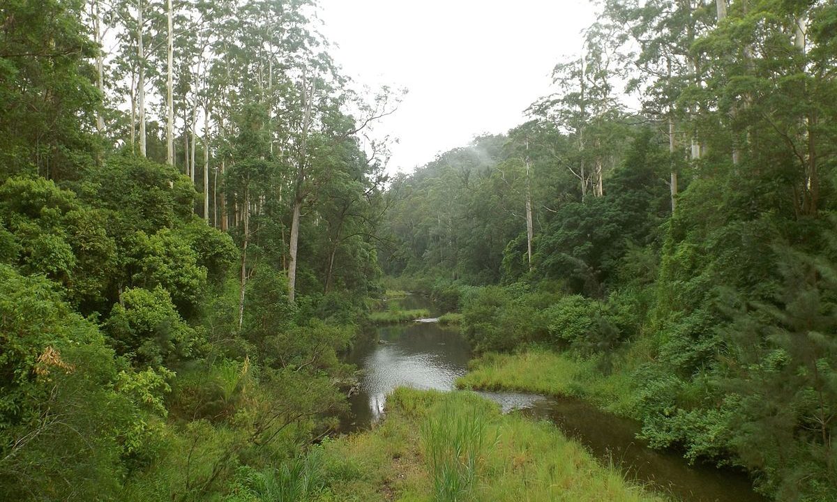 Pocket_Road_Crossing_on_Nerang_River,_Numinbah_Valley,_Queensland
