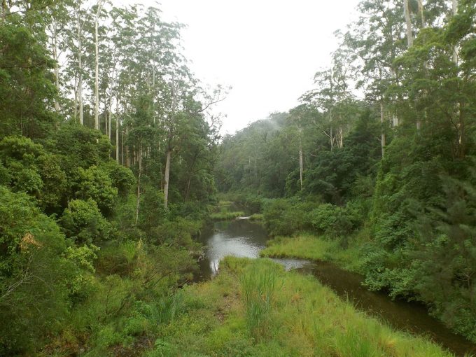 Pocket_Road_Crossing_on_Nerang_River,_Numinbah_Valley,_Queensland