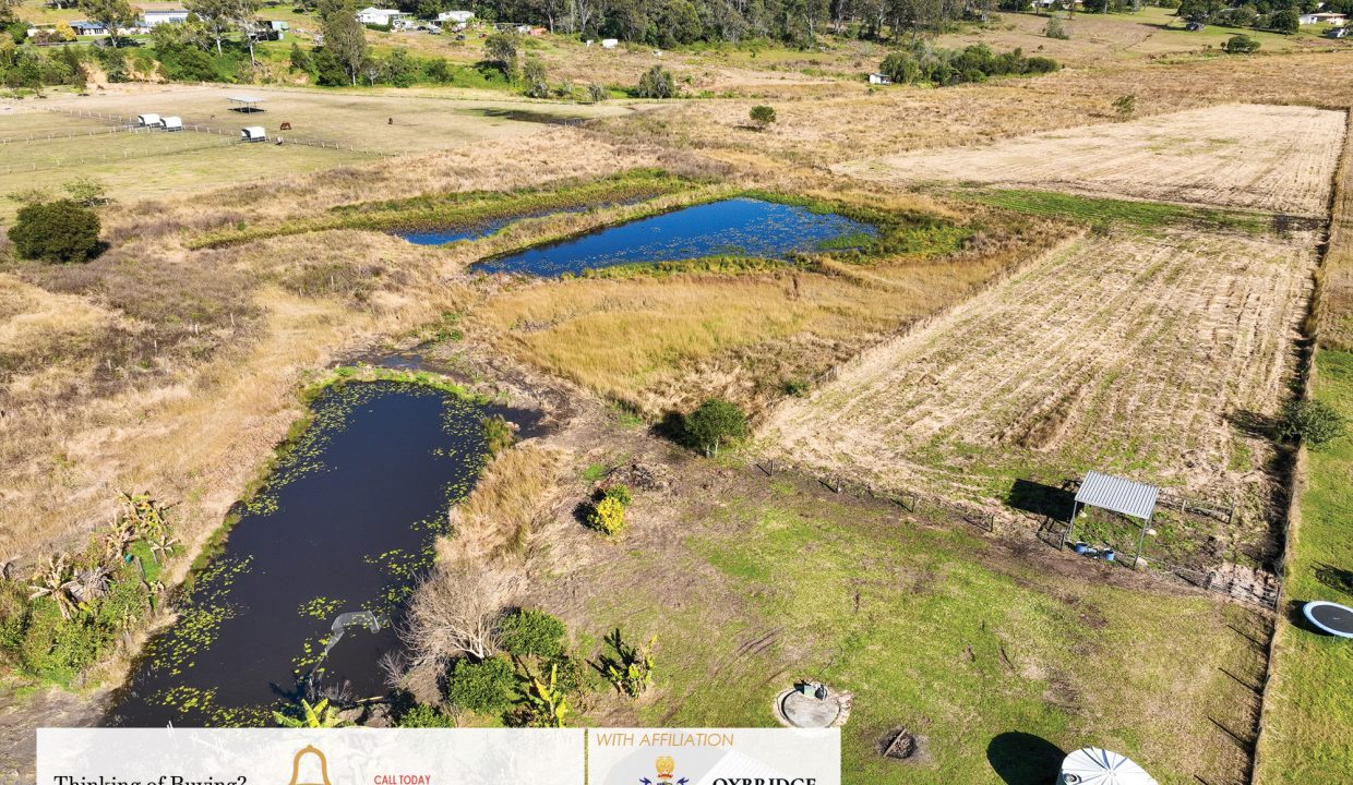 12. Backyard Land 42 Malabar Road 1