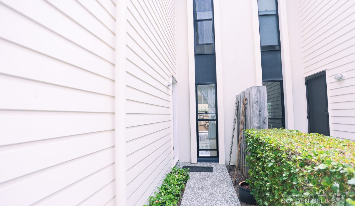 48GOLDEN BELL PACIFIC PINES-48