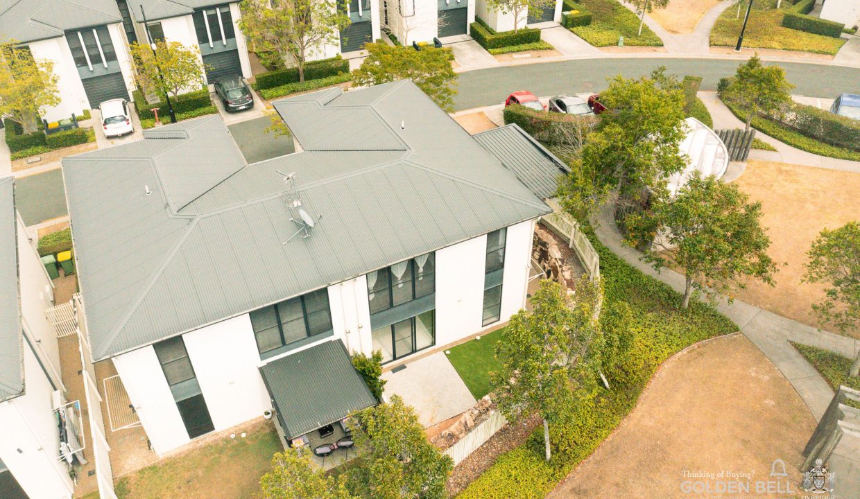 60GOLDEN-BELL-PACIFIC-PINES-60