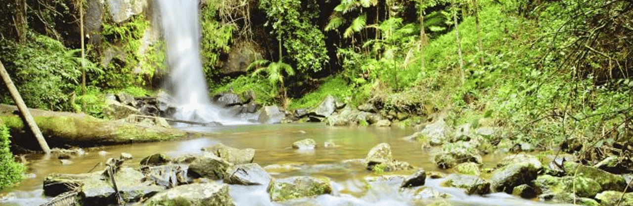 Tamborine Mountain Waterfall